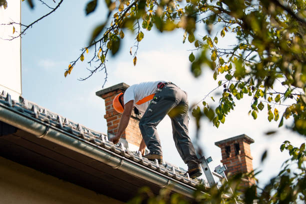 Best Residential Roofing Contractor  in Muscatine, IA