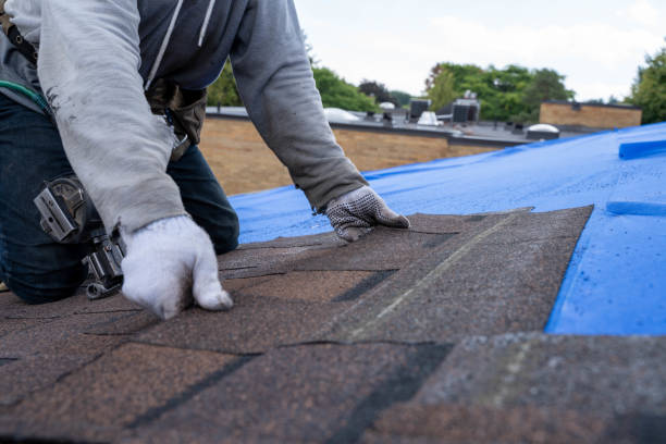 Best Commercial Roofing Services  in Muscatine, IA
