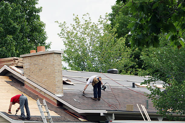 Best Metal Roofing Contractor  in Muscatine, IA
