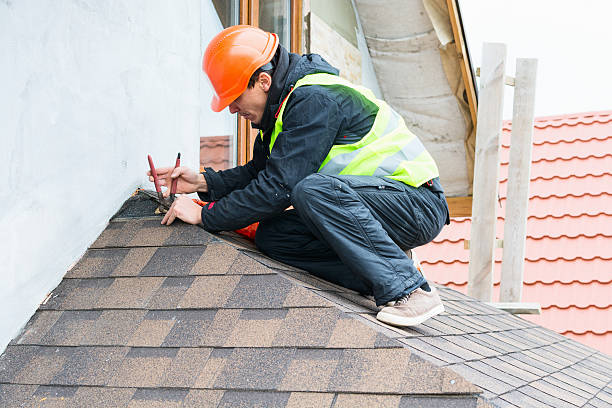 Best Sealant for Roof  in Muscatine, IA