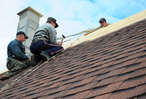 Best Affordable Roofing Company  in Muscatine, IA