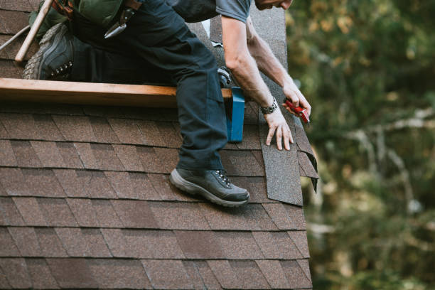 Best Roof Gutter Cleaning  in Muscatine, IA